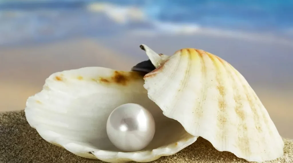 Kerang putih terbuka berisi mutiara berkilau di atas pasir pantai berlatar belakang laut biru