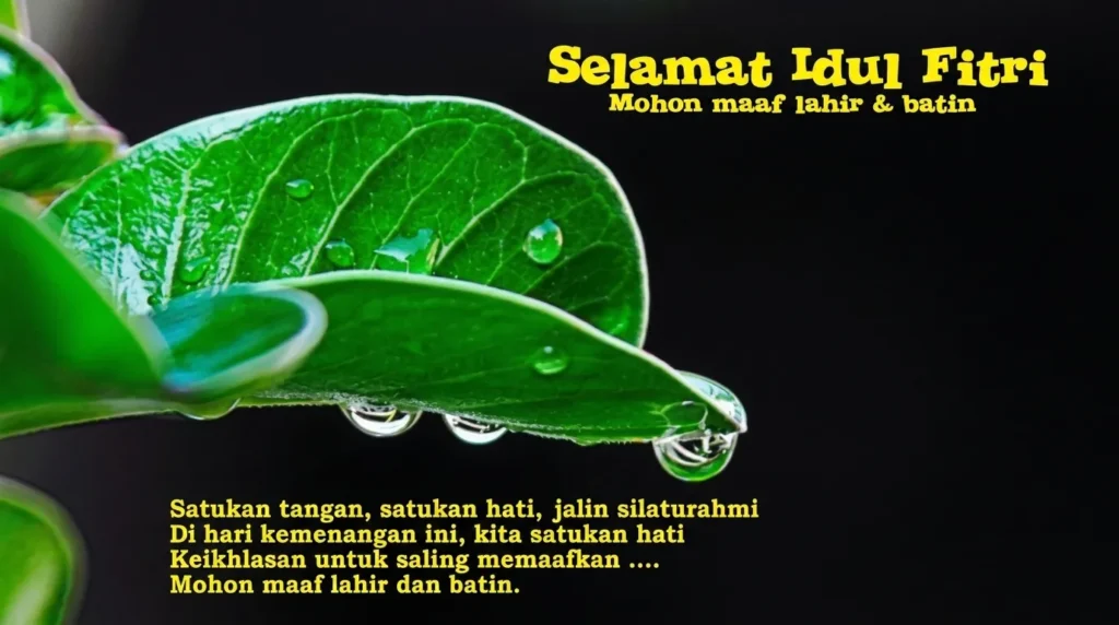 Kartu ucapan Selamat Idul Fitri Mohon Maaf Lahir dan Batin berlatar daun hijau dengan tetesan air embun bening