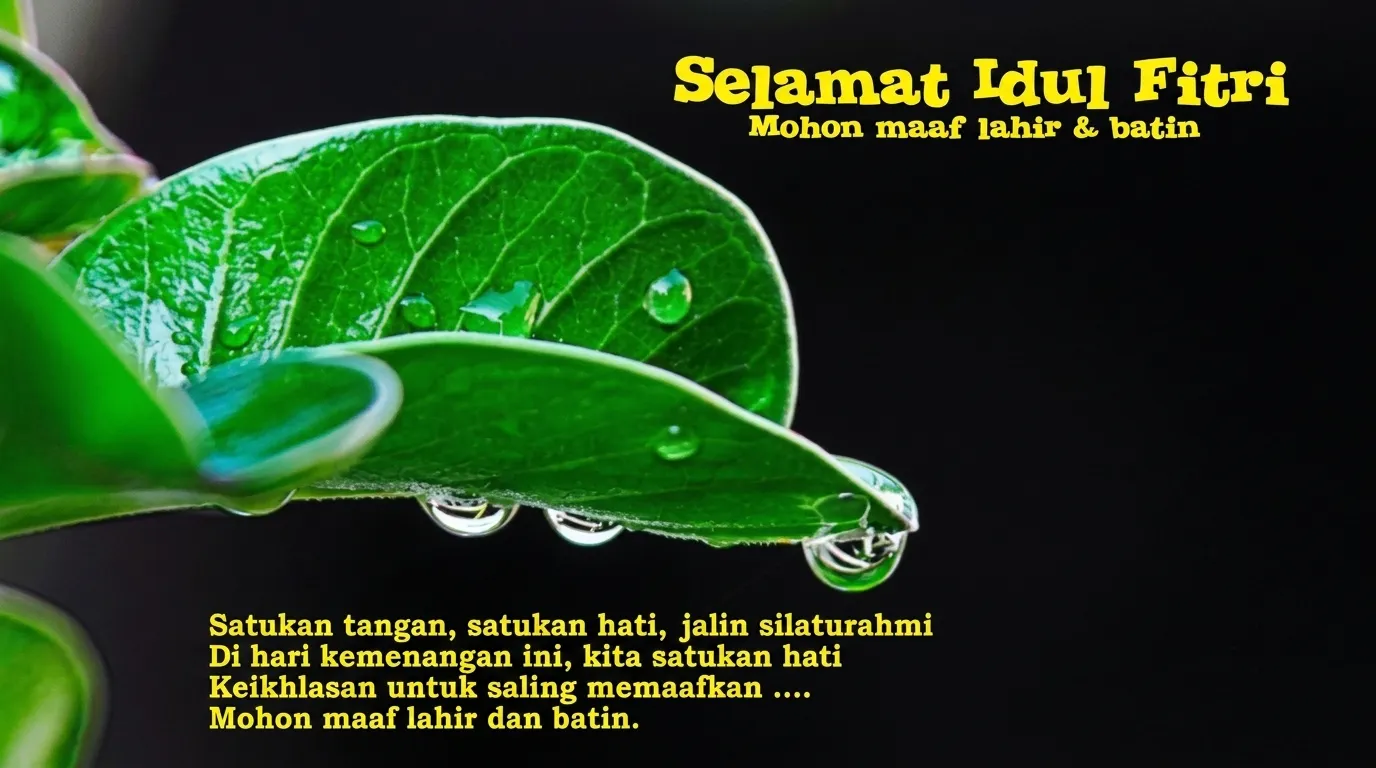 Kartu ucapan Selamat Idul Fitri Mohon Maaf Lahir dan Batin berlatar daun hijau dengan tetesan air embun bening