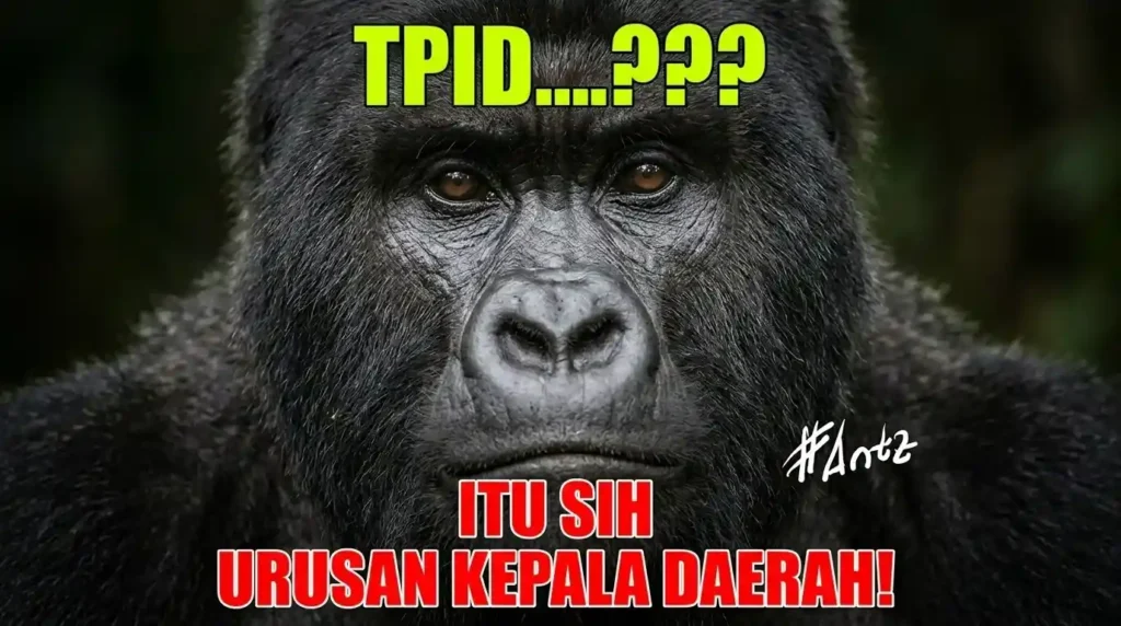 Meme gorilla menanyakan "TPID" dengan teks satir tentang urusan Kepala Daerah, referensi Tim Pengendalian Inflasi Daerah.