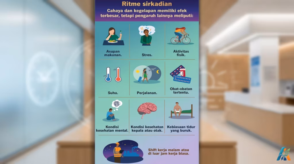 Infografis ritme sirkadian: faktor pengaruh seperti asupan makanan, stres, aktivitas fisik, suhu, perjalanan, obat, kesehatan mental & tidur.